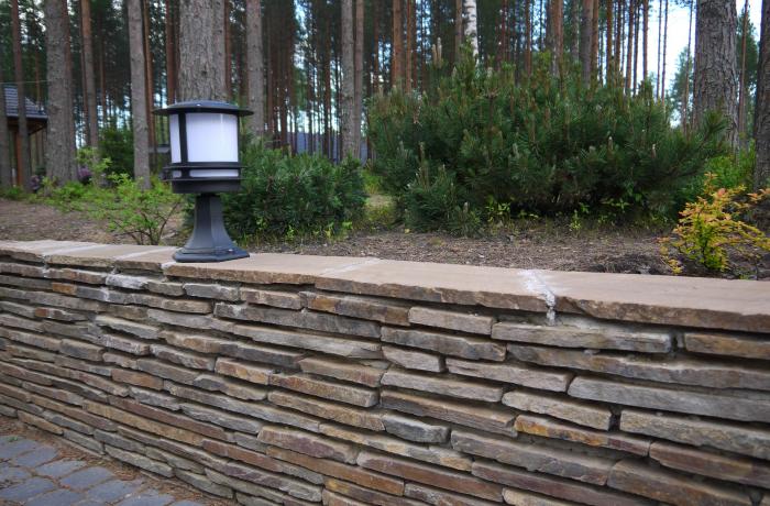 Горные сосны