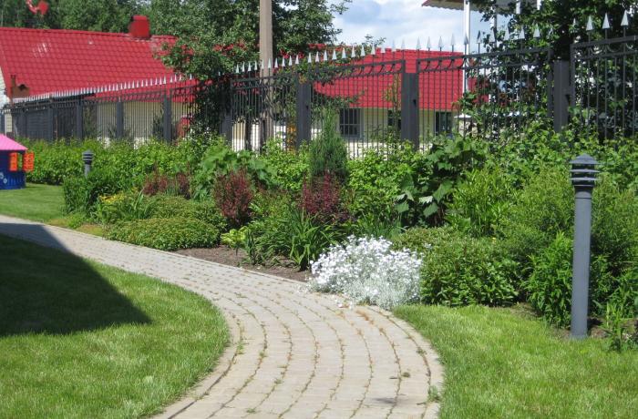 Миксбордер вдоль дорожки