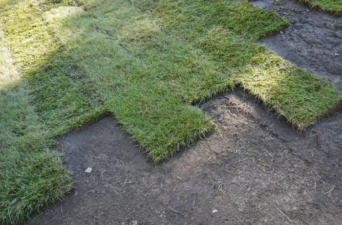 Укладка рулонного газона